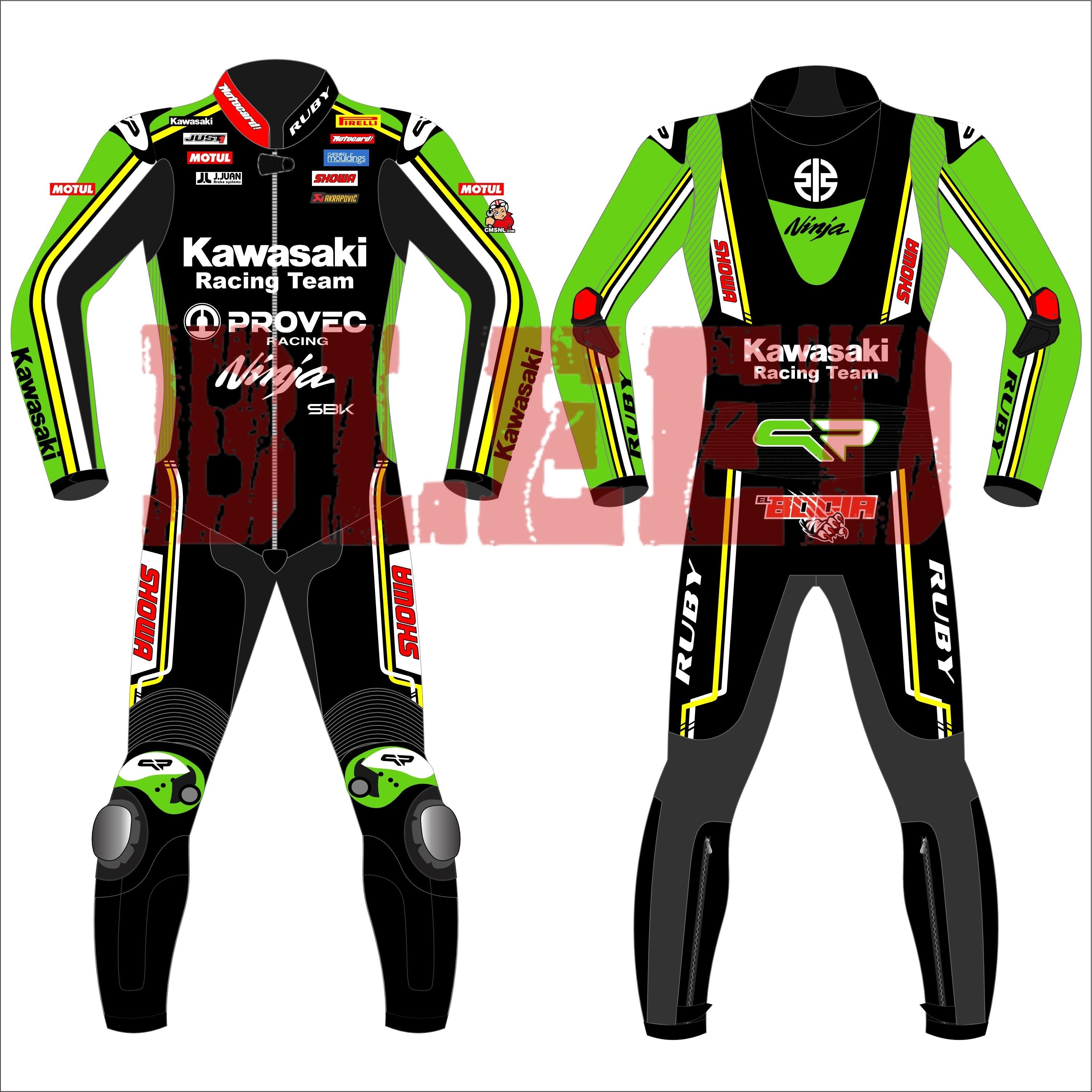 Axel Bassani Kawasaki Ninja 2024 WSBK Leather Racing Suit | Bleed